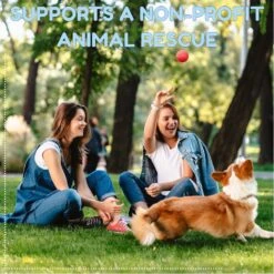 Pacific Pups Rescue Ball Dog Toy Variety Pack, 6 Count -PetSafe Kong Shop 532326 PT6. AC SS1800 V1692805977