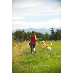 Chuckit! The Whistler Ball Dog Toy, Color Varies -PetSafe Kong Shop 53238 PT2. AC SS1800 V1531445513