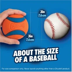 Chuckit! Ultra Rubber Ball Tough Dog Toy -PetSafe Kong Shop 53239 PT2. AC SS1800 V1696534097