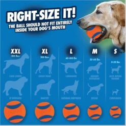 Chuckit! Ultra Rubber Ball Tough Dog Toy -PetSafe Kong Shop 53239 PT3. AC SS1800 V1696533829