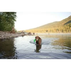 Chuckit! Amphibious Boomerang Dog Toy, Color Varies -PetSafe Kong Shop 53241 PT3. AC SS1800 V1510778334