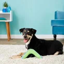 Chuckit! Amphibious Boomerang Dog Toy, Color Varies -PetSafe Kong Shop 53241 PT8. AC SS1800 V1510778346