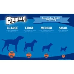 Chuckit! Fetch Ball Medley Triple Pack Dog Toy -PetSafe Kong Shop 53258 PT8. AC SS1800 V1530222703