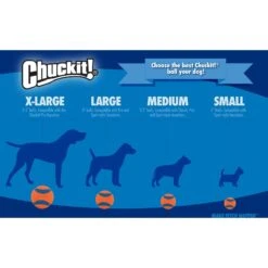 Chuckit! Rebounce Ball Twin Pack Dog Toy, Color Varies 10 Chuckit! Rebounce Ball Twin Pack Dog Toy, Color Varies -PetSafe Kong Shop 53261 PT7. AC SS1800 V1542656240