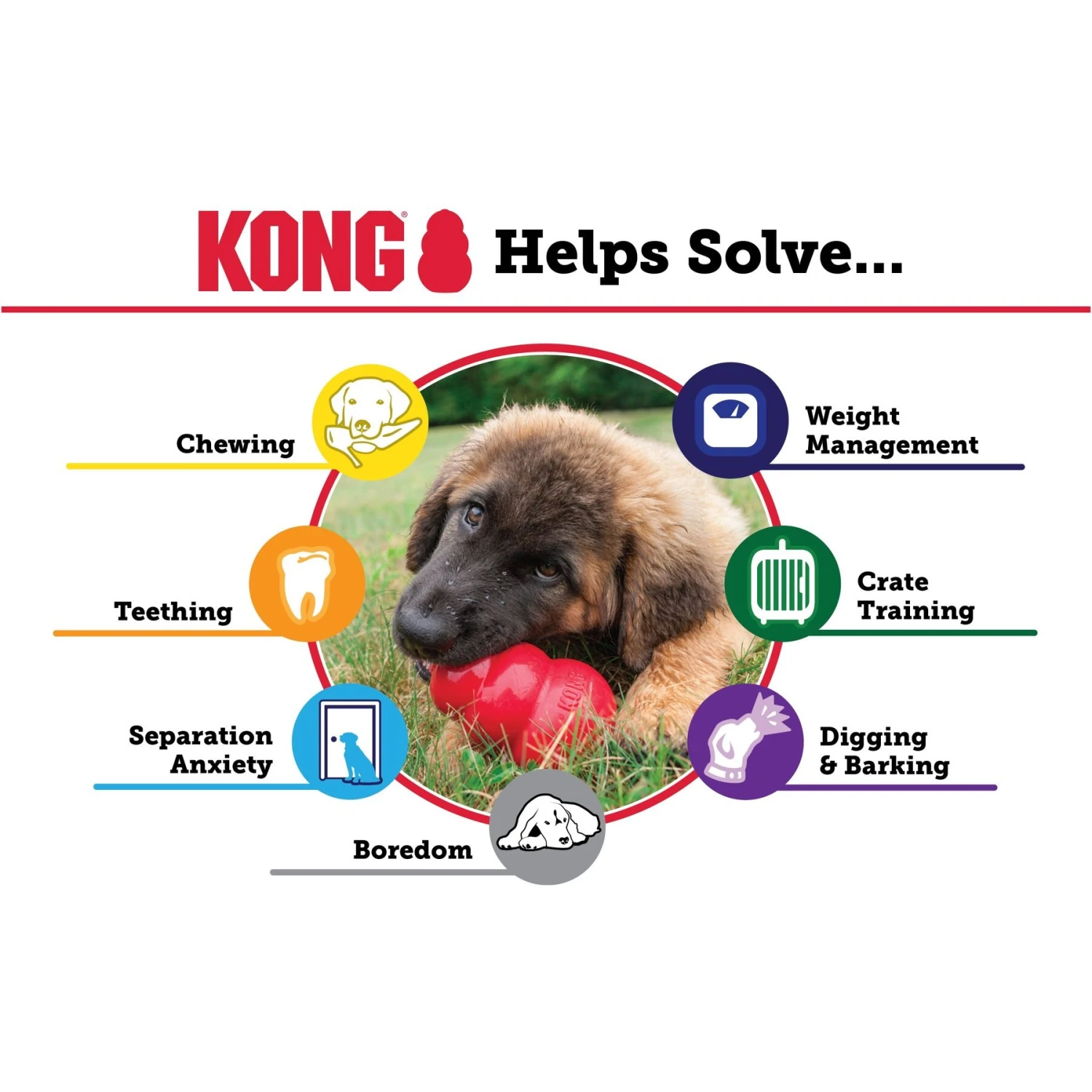 KONG Classic Dog Toy 4 KONG Classic Dog Toy - Image 4