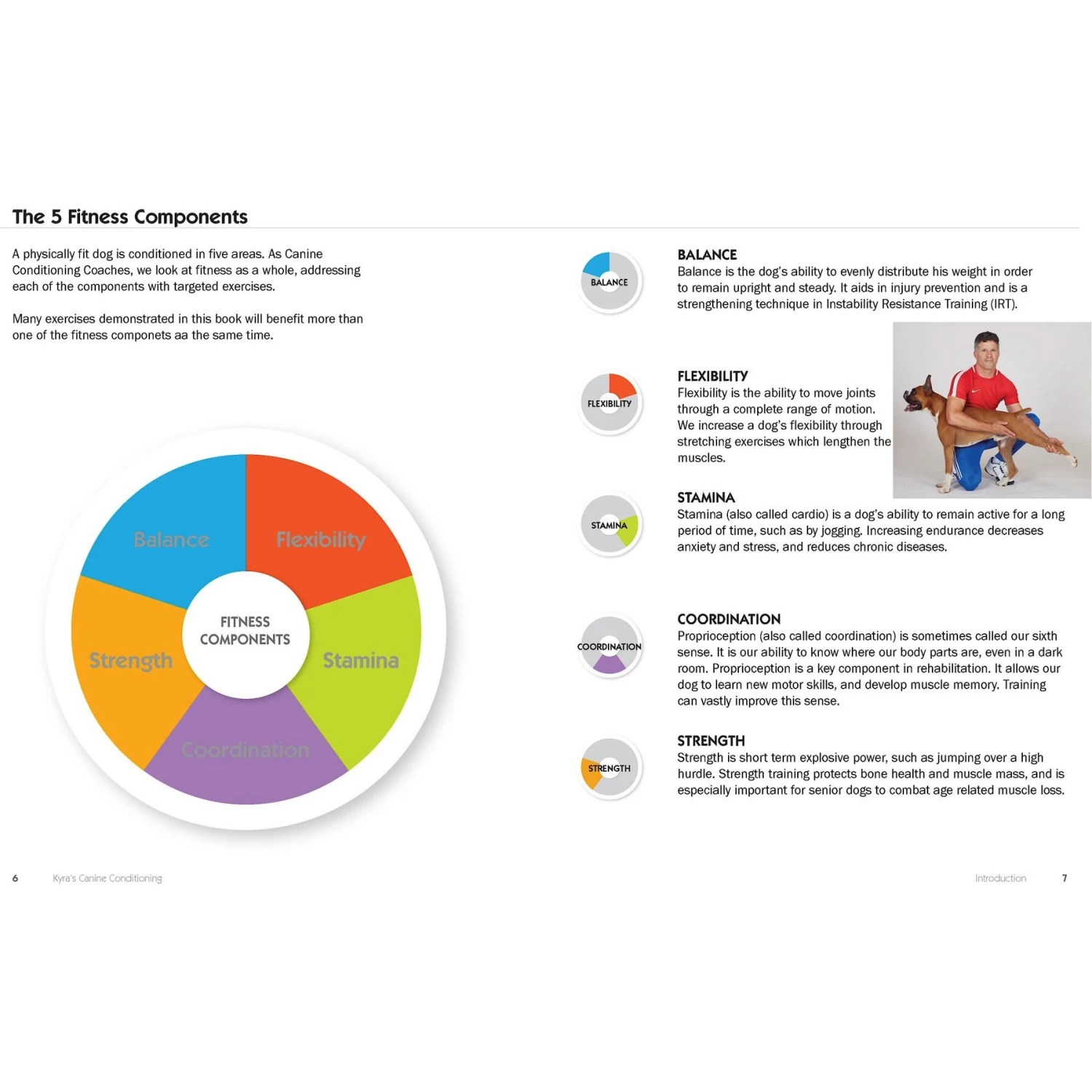 Kyra's Canine Conditioning 3 Kyra's Canine Conditioning - Image 3