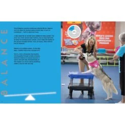 Kyra's Canine Conditioning 11 Kyra's Canine Conditioning -PetSafe Kong Shop 533726 PT4. AC SS1800 V1652393819