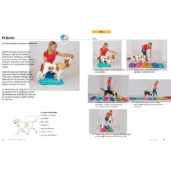 Kyra's Canine Conditioning 12 Kyra's Canine Conditioning -PetSafe Kong Shop 533726 PT5. AC SS1800 V1652391111