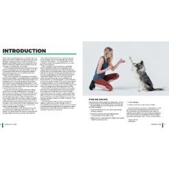 Super Dog Tricks -PetSafe Kong Shop 533886 PT2. AC SS1800 V1652768236