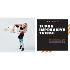 Super Dog Tricks -PetSafe Kong Shop 533886 PT3. AC SS1800 V1652742391
