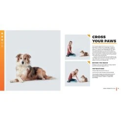 Super Dog Tricks -PetSafe Kong Shop 533886 PT4. AC SS1800 V1657658635