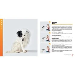 Super Dog Tricks -PetSafe Kong Shop 533886 PT5. AC SS1800 V1652773294