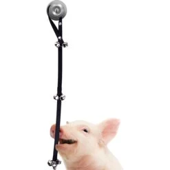 SunGrow Hanging & Communication Tool Dog & Cat Training Potty Doorbell, 34-in 7 SunGrow Hanging & Communication Tool Dog & Cat Training Potty Doorbell, 34-in -PetSafe Kong Shop 533950 PT2. AC SS1800 V1657658635