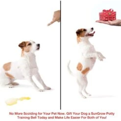 SunGrow Hanging & Communication Tool Dog & Cat Training Potty Doorbell, 34-in 8 SunGrow Hanging & Communication Tool Dog & Cat Training Potty Doorbell, 34-in -PetSafe Kong Shop 533950 PT3. AC SS1800 V1657658635