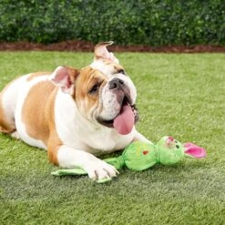 KONG Wubba Ballistic Friend -PetSafe Kong Shop 53432 PT4. AC SS1800 V1605332225