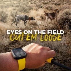 Dogtra Pathfinder2 GPS & Dog Training Collar System, Black -PetSafe Kong Shop 534486 PT7. AC SS1800 V1652980584