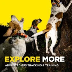 Dogtra Pathfinder2 GPS & Dog Training Collar System, Black -PetSafe Kong Shop 534486 PT8. AC SS1800 V1657658787