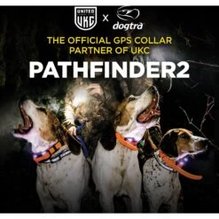 Dogtra Pathfinder2 Remote Dog Training & GPS Additional Receiver Collar 17 Dogtra Pathfinder2 Remote Dog Training & GPS Additional Receiver Collar -PetSafe Kong Shop 534510 PT8. AC SS1800 V1652982126
