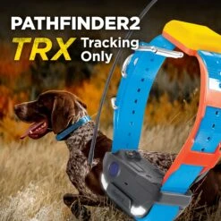 Dogtra Pathfinder2 Trx Dog Tracking Only Additional Receiver Collar -PetSafe Kong Shop 534526 PT6. AC SS1800 V1657658787