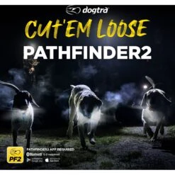 Dogtra Pathfinder2 Trx Dog Tracking Only Additional Receiver Collar -PetSafe Kong Shop 534526 PT8. AC SS1800 V1657658787