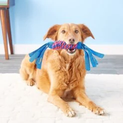 KONG Tugga Wubba Dog Toy, Color Varies -PetSafe Kong Shop 53461 PT3. AC SS1800 V1544221461