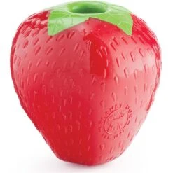 Planet Dog Orbee-Tuff Strawberry Treat Dispensing Tough Dog Chew Toy