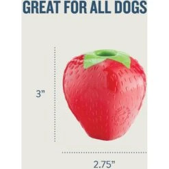 Planet Dog Orbee-Tuff Strawberry Treat Dispensing Tough Dog Chew Toy 13 Planet Dog Orbee-Tuff Strawberry Treat Dispensing Tough Dog Chew Toy -PetSafe Kong Shop 53615 PT4. AC SS1800 V1646790691