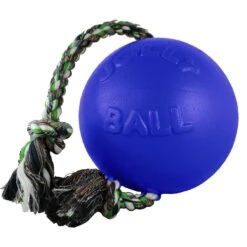 Jolly Pets Romp-n-Roll Dog Toy, Blue