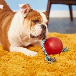 Jolly Pets Romp-n-Roll Dog Toy, Red -PetSafe Kong Shop 53653 PT8. AC SS1800 V1501261547