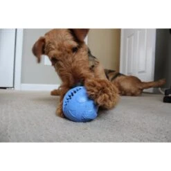 Jolly Pets Monster Ball Dog Toy 7 Jolly Pets Monster Ball Dog Toy -PetSafe Kong Shop 53679 PT2. AC SS1800 V1629246685