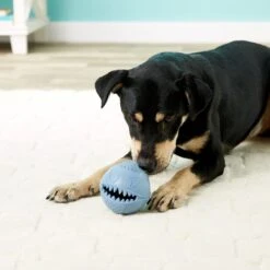 Jolly Pets Monster Ball Dog Toy 9 Jolly Pets Monster Ball Dog Toy -PetSafe Kong Shop 53679 PT8. AC SS1800 V1507036189