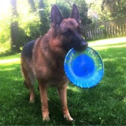 Ruff Dawg K9 Flyer Disc Dog Toy, Color Varies 7 Ruff Dawg K9 Flyer Disc Dog Toy, Color Varies -PetSafe Kong Shop 53795 PT2. AC SS1800 V1602328559