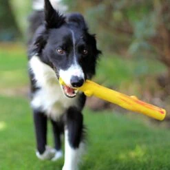 Ruff Dawg Stick Dog Fetch Toy, Color Varies 7 Ruff Dawg Stick Dog Fetch Toy, Color Varies -PetSafe Kong Shop 53803 PT2. AC SS1800 V1602299464