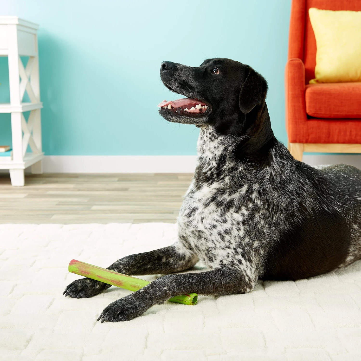 Ruff Dawg Stick Dog Fetch Toy, Color Varies 5 Ruff Dawg Stick Dog Fetch Toy, Color Varies - Image 5