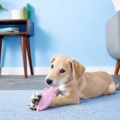 Ruff Dawg FlyingFish Dog Fetch Toy, Color Varies -PetSafe Kong Shop 53808 PT7. AC SS1800 V1515535539