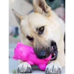 Ruff Dawg Gummy Bear Treat Dispenser Dog Toy, Color Varies -PetSafe Kong Shop 53877 PT4. AC SS1800 V1542666139