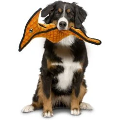 Tuffy's Pterodactyl Dino Squeaky Plush Dog Toy -PetSafe Kong Shop 54126 PT2. AC SS1800 V1589492165