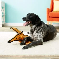 Tuffy's Pterodactyl Dino Squeaky Plush Dog Toy -PetSafe Kong Shop 54126 PT3. AC SS1800 V1589492168