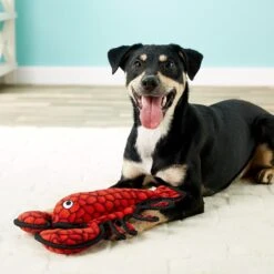 Tuffy's Ocean Creatures Larry Lobster Squeaky Plush Dog Toy -PetSafe Kong Shop 54162 PT3. AC SS1800 V1589492453