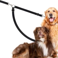 SunGrow Heavy Duty & Tangle Free Double Dog Training Leash Walking Accessory -PetSafe Kong Shop 541638 PT1. AC SS1800 V1673379340
