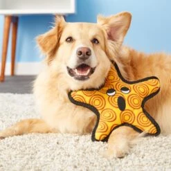 Tuffy's Ocean Creatures The "General" Starfish Squeaky Plush Dog Toy -PetSafe Kong Shop 54163 PT3. AC SS1800 V1589492481