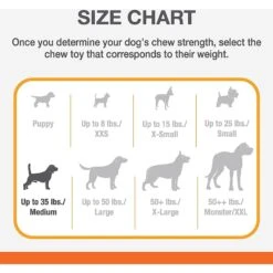 Nylabone PRO Action Dental Power Chew Durable Dog Toy 12 Nylabone PRO Action Dental Power Chew Durable Dog Toy -PetSafe Kong Shop 54240 PT3. AC SS1800 V1688141961