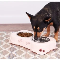 Loving Pets Dolce Double Diner Non-Skid Elevated Dog & Cat Bowls -PetSafe Kong Shop 54516 PT7. AC SS1800 V1515610326