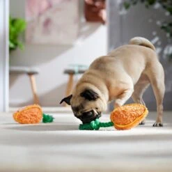 Frisco Easter Carrot Plush With Rope Squeaky Dog Toy -PetSafe Kong Shop 550486 PT4. AC SS1800 V1702500565