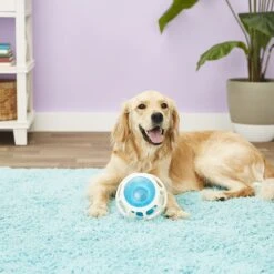 JW Pet Rockin Treat Ball -PetSafe Kong Shop 55169 PT2. AC SS1800 V1530541353