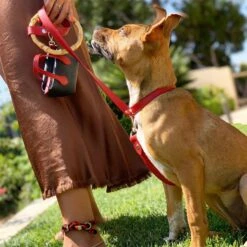 Shaya Pets Sasha Leather Leash -PetSafe Kong Shop 557638 PT2. AC SS1800 V1657659537
