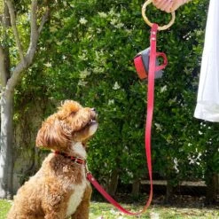 Shaya Pets Sasha Leather Leash -PetSafe Kong Shop 557638 PT3. AC SS1800 V1657659537