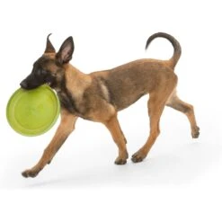West Paw Zogoflex Zisc Flying Disc Dog Toy -PetSafe Kong Shop 58046 PT2. AC SS1800 V1629321107