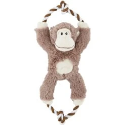 Frisco Forest Friends Stuffing-Free Skinny Plush Squeaky Dog Toy + 3 Items -PetSafe Kong Shop 582478 PT5. AC SS1800 V1658238980