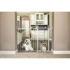 Carlson Pet Products Maxi Walk-Thru Dog Gate With Small Pet Door 7 Carlson Pet Products Maxi Walk-Thru Dog Gate With Small Pet Door -PetSafe Kong Shop 58487 PT3. AC SS1800 V1567719451